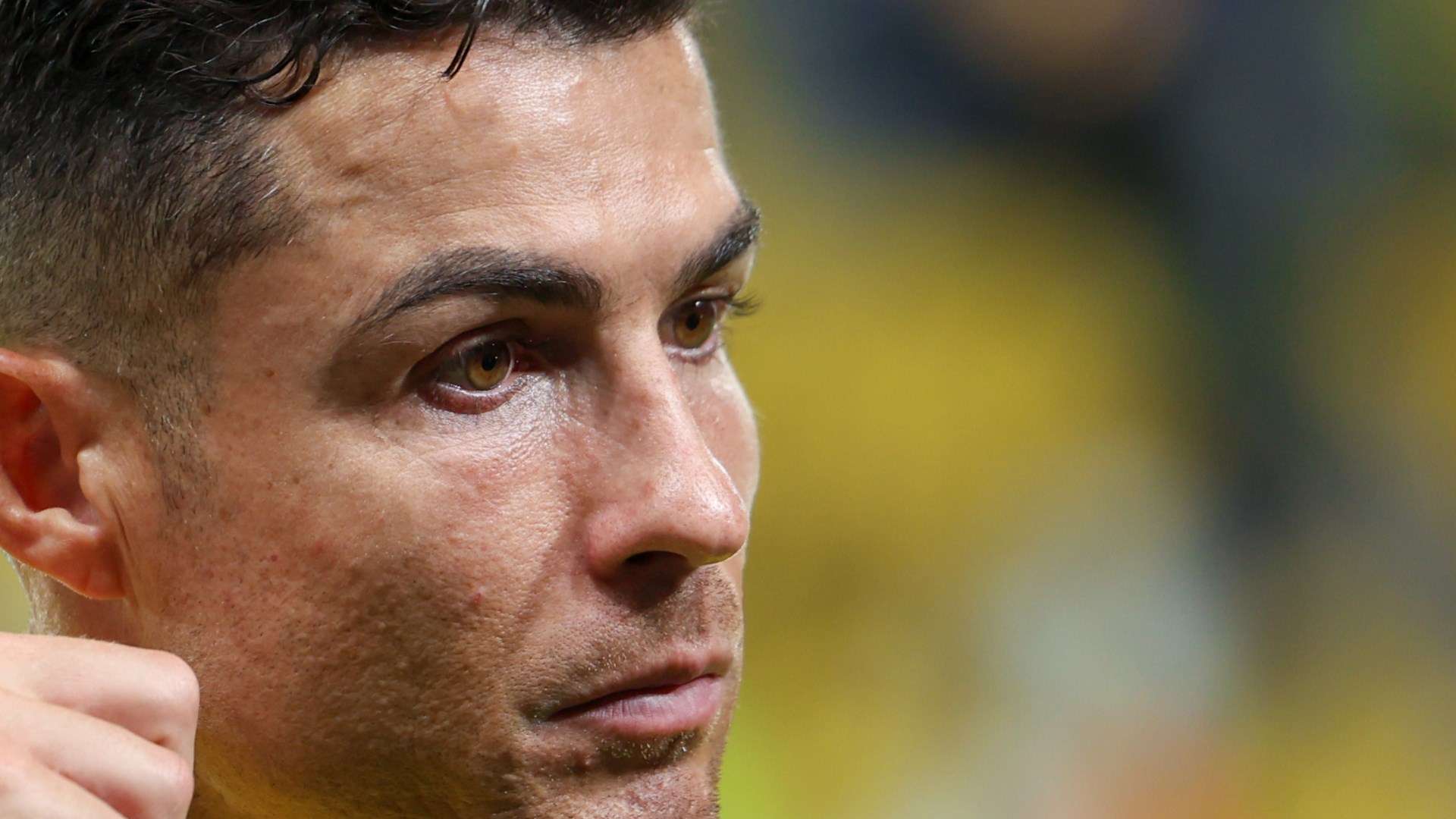 不仅包括国 不仅包括国